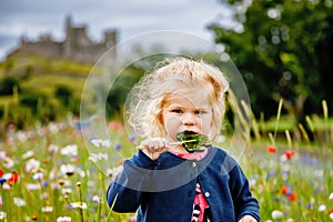 Cute toddler girl with Irish cloverleaf lollipop with Rock of Cashel castle on background. Happy healthy child on flower