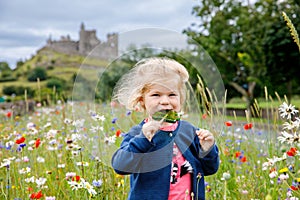 Cute toddler girl with Irish cloverleaf lollipop with Rock of Cashel castle on background. Happy healthy child on flower