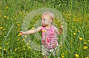 Cute Toddler Girl Playing in Long Grass