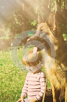 Cute toddler girl sitting with Young German Shepherd Dog in a field under bright sun light.