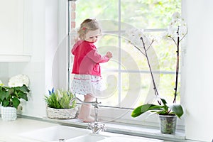 Cute toddler girl watching out window in white kitchen