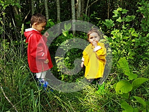 Cute toddlers picking forest berries