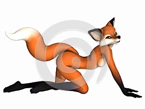 Cute Toon Figure - Fox photo