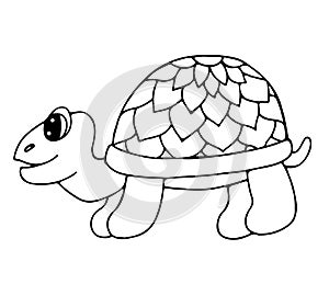 Cute tortoise isolated on the white background