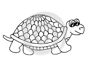 Cute tortoise isolated on the white background