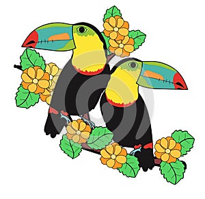 Cute toucan bird lover on flower branch art