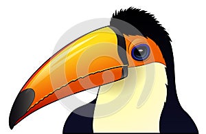 Cute toucan cartoon isolated