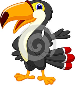 Cute toucan cartoon presenting