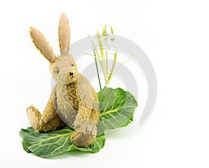 Cute toy bunny rabbit looking over shoulder. Copy space.