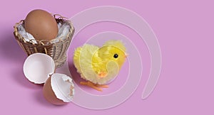 Cute toy chicken creacking from eggshell on pink background.  Chick hatching from cracked chick egg. Copyspace