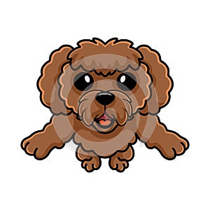 Cute toy poodle dog cartoon holding a bone