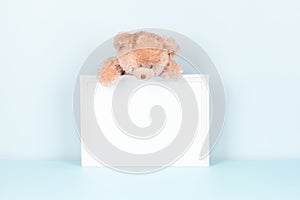 Cute toy teddy bear on white wooden picture frame with blank mock up copy space, light blue background. Front view