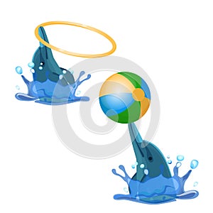 Cute trained dolphins playing with hoop and color ball vector