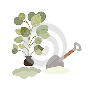 Cute tree plant with earth isolated icon