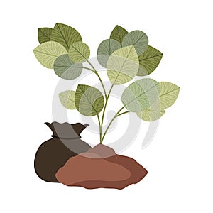 Cute tree plant with earth isolated icon