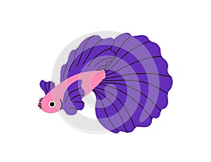 Cute tropical fish with beautiful big tail. Exotic little small water animal, betta with gorgeous flowing fins. Marine