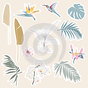 Cute tropical set of different stickers with wild birds  exotic flowers and leaves.