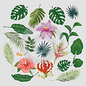 Cute tropical stickers and labels. Summer set of leaves and flowers. Vector illustration