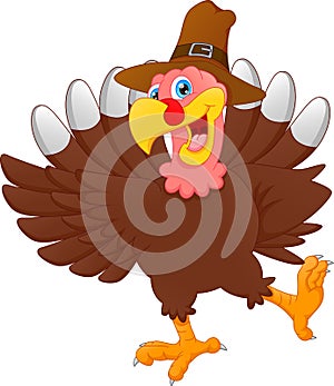 Cute turkey bird cartoon