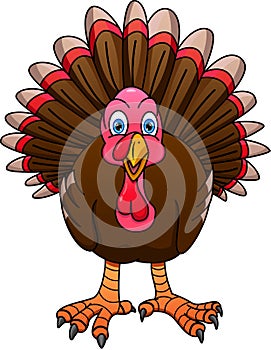 Cute turkey bird cartoon