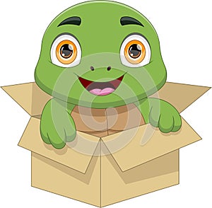 cute turtle in the box cartoon
