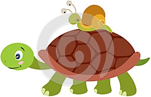 Cute turtle carrying a snail on carapace