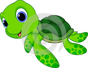 Cute turtle cartoon