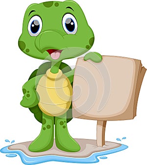 Cute turtle cartoon