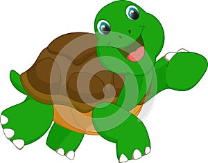 Cute turtle cartoon