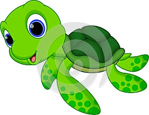 Cute turtle cartoon photo