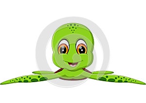 Cute turtle cartoon