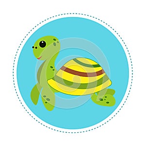 cute turtle