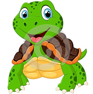 Cute turtle cartoon posing