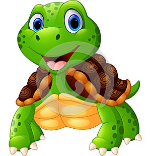 Cute turtle cartoon posing