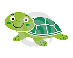 cute turtle icon.