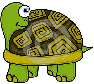 Cute turtle peeking