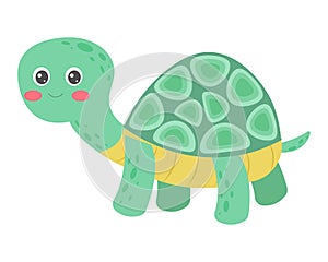 Cute turtle. Pelagian. Vector