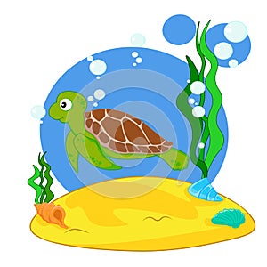 A cute turtle swims underwater on the seabed