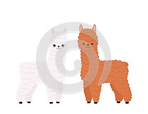 Cute two llamas on white background. Funny kawaii characters of alpaca