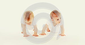 cute two twin babies crawling and playing on the floor on white studio background