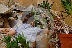 Cute two years old baby boy playing with dirt and plants