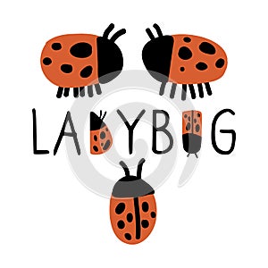 Cute typography ladybug banner with ladybirds doodle clipart. Hand drawn red spotted insect. Flat color naive entomology beetle
