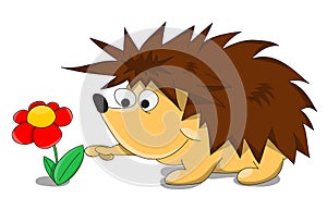 Cute unusual vector cartoon hedgehog