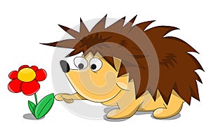 Cute unusual vector cartoon hedgehog photo