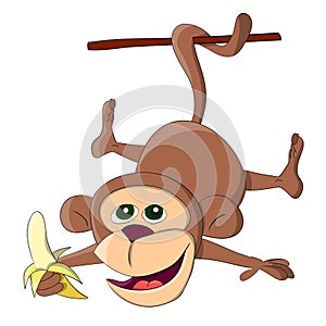 Cute unusual vector hanging monkey with banana