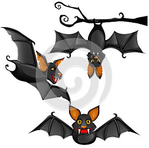 Cute vector bat