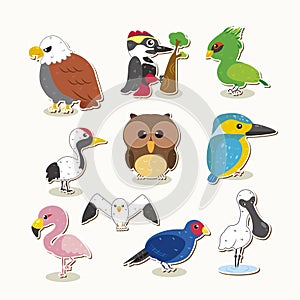 Cute vector bird set