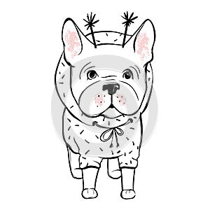 Cute vector dog in winter clothes. Fashion French bulldog puppy.