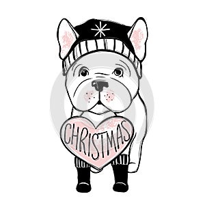 Cute vector dog in winter clothes. Fashion French bulldog puppy. Stylish animals. Clothing for pets.