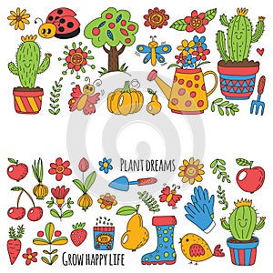 Cute vector garden with birds, cactus, plants, fruits, berries, gardening tools, rubberboots Garden market pattern in